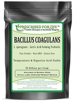 Bacillus Coagulans - Temperature & Digestion Stable Probiotic Powder (L. sporogenes - 50 Billion/Gram), 1 kg