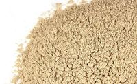 Echinacea Angustifolia Root Powder