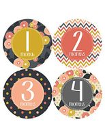 Months In Motion Baby Girl Monthly Baby Milestone Stickers | Onesie Month Sticker | Infant Photo Prop for First Year | Shower Gift | Newborn Keepsakes | Style 385