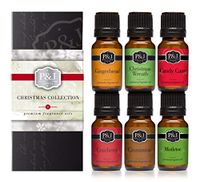 Christmas Set of 6 Premium Grade Fragrance Oils - Christmas Wreath, Mistletoe, Candy Cane, Gingerbread, Cinnamon, and Cranberry - 10ml