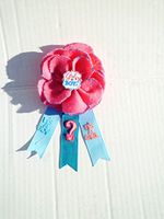Gender Reveal Party It's Boy or Girl Baby Shower Themed Corsage for Grandma ,Aunt or Host ( Pink and Blue)