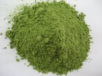 Wheatgrass Juice Powder - Organic Certified - Our Finest Wheatgrass Juice (16 oz (1 lb))