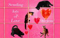 Sending Lots of Love Note Card, Handmade Blank Cards and Sets By Deborah Julian (25)