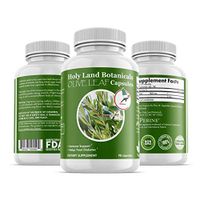 Holy Land Botanicals Organic Olive Leaf Extract 500 mg 90 Caps