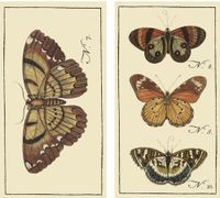 HomArt Large Decorative Butterfly Insect Matches