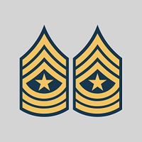 fagraphix Two Pack E-9 Sergeant Major Insignia Sticker Decal Vinyl United States Army FA Vinyl