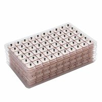 Brojin Therapeutic vaccaria Ear Seed Patches for Pressure Points Pack of 1000