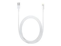 Apple Lightning to USB Cable (1 m)