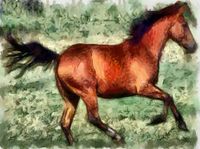 Quarter Horse Sam - Notecards- Set of 6 with Envelopes by Doggylips