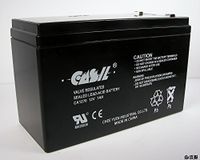 2 Pack CASIL 12V 7AH CA1270 First Alert ADT Alarm Battery
