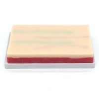 Venipuncture IV Injection Training Pad Model, Silicone Human Skin Suture Training Model, Injection Practice Pad, 4 Veins Imbedded, 3 Skin Layers(7.1 x 4 x 1.1")