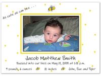 Cute As Can Bee Birth Announcements - Set of 20