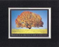 Touching and Heartfelt Poem for Motivations - [Reach out in all directions to grow to your fullest.] Motivational Saying on BlackOnWhite 8 x 10 inches Double Beveled Matting