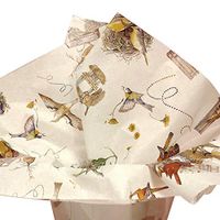 10ct Multi-Colored Bird's Nest on White Tissue Paper for Gift Wrapping 20"x30" Sheets nfLG -852