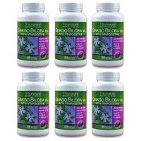 TruNature Ginkgo Biloba 120 mg - 300 softgels (Pack of 6)