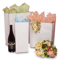 White and Kraft Handle Bags | Quantity: 250 | Width: 13" Gusset - 7"