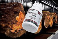 VITAL LIFE Antrodia Cinnamorea for Healthy Liver & Reduce Blood Fat 60 Vegetable Capsules