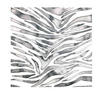 Eightmood 20 Count 3-Ply Paper Drink Beverage Cocktail Napkins, Zeewild