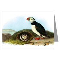 Twelve Note Cards of John James Audubon's Celebrated Illustrations of Birds of North America Featuring The Atlantic Puffin