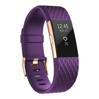 UMAXGET Compatible with Fitbit Charge 2 Bands, Soft Silicone Sport Adjustable Wristband Special Edition with Rose Gold Buckle for Men Women, Large