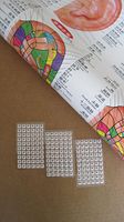 Acupuncture English & Chinese Ear Chart 25' X 18' with 180 PCS ear seeds (US Seller)