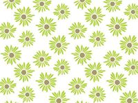 Green Painted Daisies Daisy Flowers Tissue Paper Gift Wrapping 20"x30" Sheets - 50ct