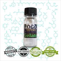 FOGG TERPENES Gelato (1 ml)