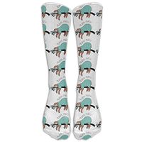 Macaulay Whitman Sloth Pajama Party Womens Novelty Knee High Socks