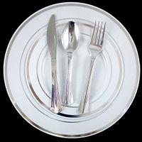 180 People Dinner Wedding Disposable Plastic Plates Party Silverware Silver Rim