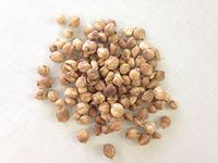 白豆蔻 | Whitefruit Amomim Fruit