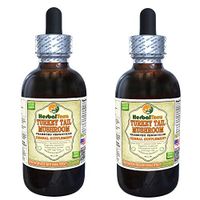 Turkey Tail Mushroom (Trametes Versicolor) Tincture, Dried Mushroom Liquid Extract (Brand Name: HerbalTerra, Proudly Made in USA) 2x2 fl.oz (2x60 ml)