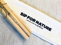 Sip for Nature - Reusable 8" Bamboo Straws in Pouch with Cleaner (5 Straws)