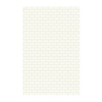 Swan SSST629601.010 Solid Surface Glue-Up 1-piece Shower Wall Panel, 0.25-in L X 62-in H X 96-in H, White