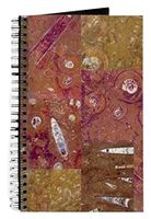 Unique Ancient Fossil [BLANK PAGES] Spiral Writing Gift Journal for Dinosaur Lovers Geologists Writers Ocean Lovers - Terracotta Collage - 160 Pages + 60lb Paper