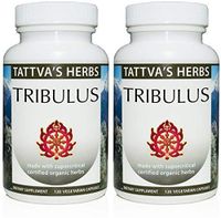 Organic Tribulus Terrestris Holistic Extract - Boost Testosterone, Libedo, Mood & Stamina - 500 mg. 240 Vcaps Non GMO Nutritional Supplement - 2 Month Supply from Tattva's Herbs