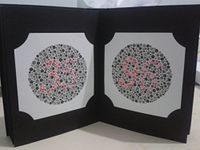 Ishihara 0174 Test Chart Books, for Color Deficiency