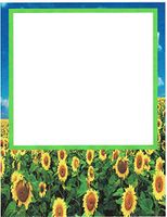 Sunflower Floral Stationery Printer Paper 26 Sheets