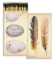 Matches - Fine Feathers (Set of 3)