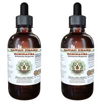Echinacea Alcohol-Free Liquid Extract, Echinacea (Echinacea Purpurea) Dried Root Glycerite Herbal Supplement 2x4 oz