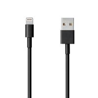 Replacement USB Charging Charger Power Supply Cable Cord for Beats by Dr Dre BeatsX Beats X Wireless in-Ear Headphone Earphone and Pill+ Speakers (0.65ft)