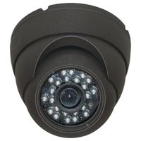 Eyeball Dome Camera
