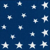 4th of July Party Supplies Paper Napkins Luncheon Size flag Stars and Stripes 40 Count 6.5" x 6.5" Folded