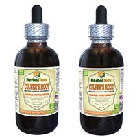Culver's Root (Veronicastrum Virginicum) Tincture, Organic Dried Root Liquid Extract (Brand Name: HerbalTerra, Proudly Made in USA) 2x2 fl.oz (2x60 ml)
