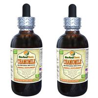Chamomile (Matricaria Recutita) Tincture, Organic Dried Flowers Liquid Extract (Brand Name: HerbalTerra, Proudly Made in USA) 2x2 fl.oz (2x60 ml)