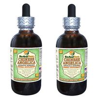 Angelica Chinese (Angelica Sinensis) Glycerite, Organic Dried Root Alcohol-Free Liquid Extract (Brand Name: HerbalTerra, Proudly Made in USA) 2x2 fl.oz (2x60 ml)