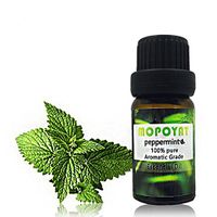 Chezaa 10 ML Fresh Summer 100% Pure Essential Oils Set - Pure Natural Flower Aroma for Skin Care Bath Massage Beauty(Tea Tree,Lemon,Peppermint,Rose,Lavender,Lemongrass) (C)
