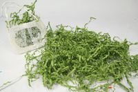 AmoreCreations - 7 Ounce Paper Shred Crinkle and Filler Paper Gift Wrap Supply (Sage Green)