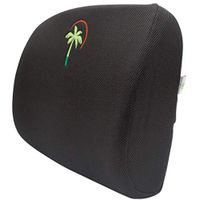 Palm Posture Back Support Lumbar Cushion Best Ergonomic Memory Foam Pillow for Women Men - Lower Pain Relief - Includes Extension & Carrying Bag (Black 3D Mesh)