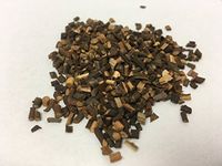 桂枝尖 | Cinnamon Twig