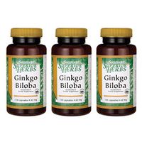 Swanson Ginkgo Biloba (Standardized) 60 Milligrams 120 Capsules (3 Pack)